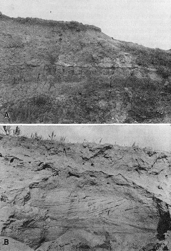 Two black and white photos; top is of outcrop with Peoria silt covering thin white ash bed; bottom is of cross-bedded erodable sandy outcrop.