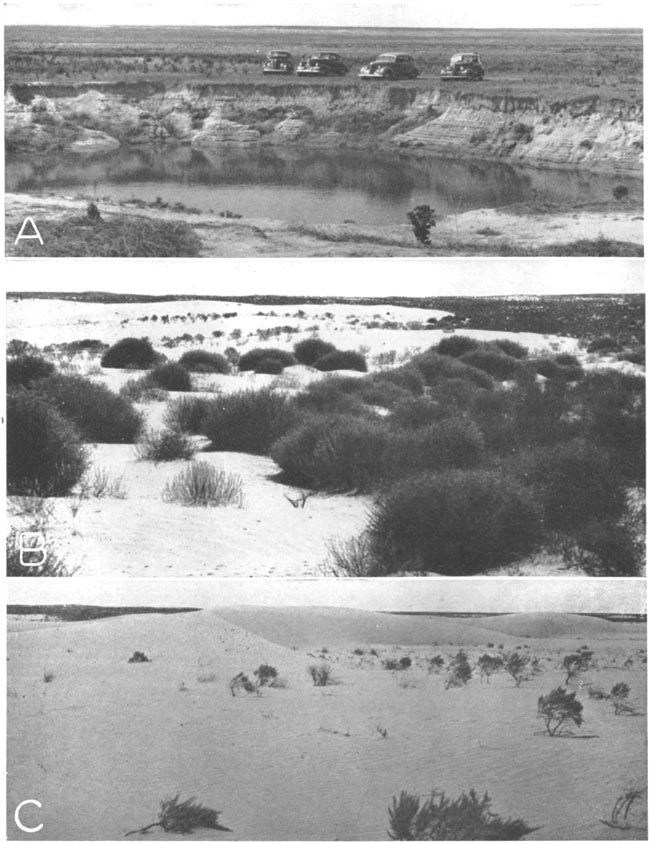 Three black and white photos; top photo is sink-hole, steep sides, some water at bottom, cars parked at edge; middle is low, white sand dunes overtaking small brush; bottom photo is large sand dune, no plants on dune itself.