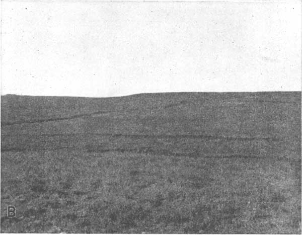 Black and white photo of grass-covered hill.