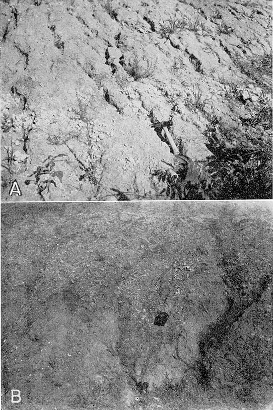 Two black and white photos showing close-ups of exposures.