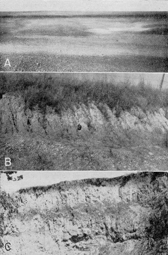 Three black and white photos showing soil colors and textures.
