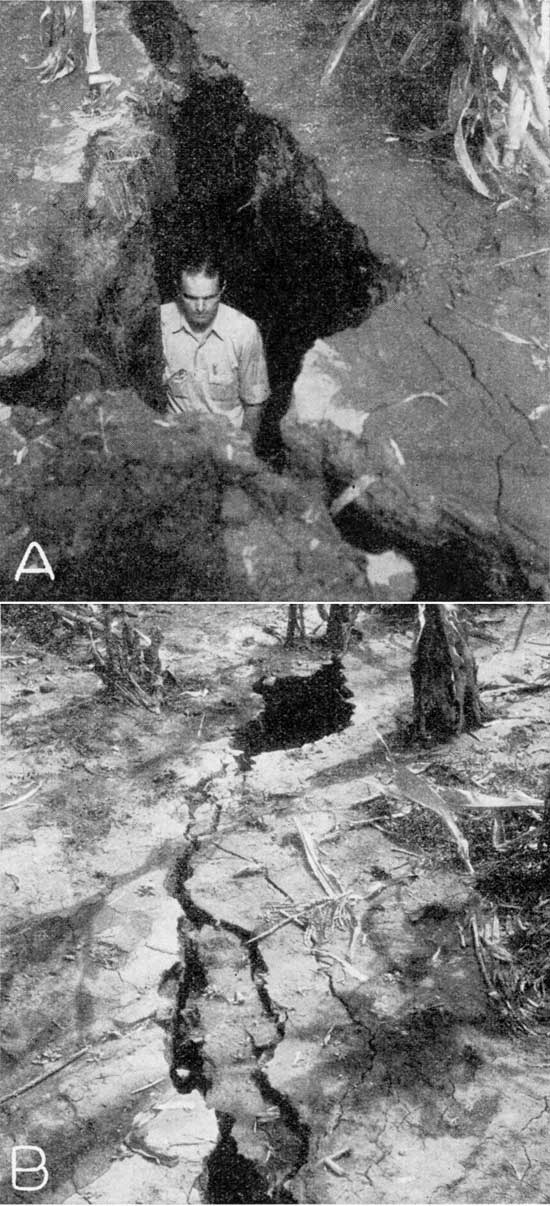 Two black and white photos of cracks in soil; one is deep enough for a man to stand within.