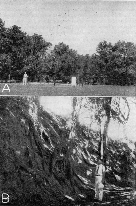 Two black and white photos; top is of well in small hut surrounded by grassy field, trees in background; bottom photo shows dry creek bed, steep bank.