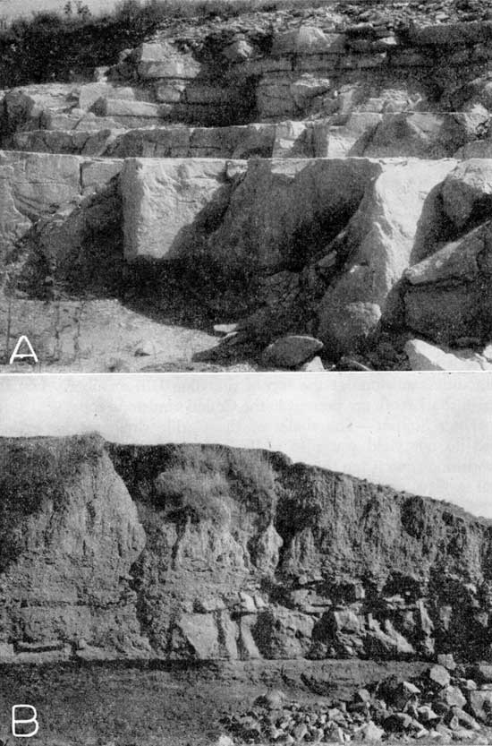 Two black and white photos; top is of blocky, light colored outcrop, several feet thick; lower photo shows blocky limestone covered by finer, darker shale and erodable material.