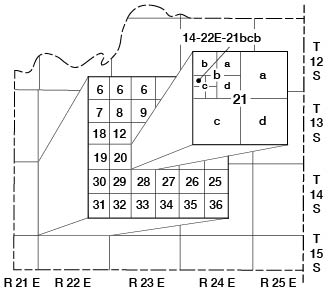 description of section numbering