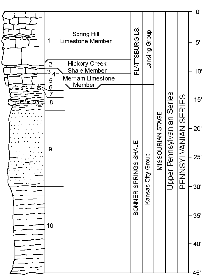 graphic version of strat column described in text