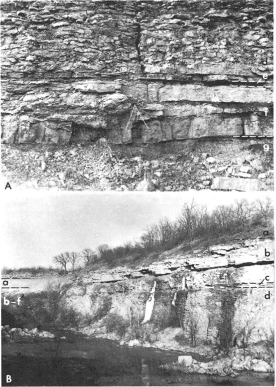 Two black and white photos of rock outcrops of Wyandotte Limestone, Lane Shale, and Bonner Springs Shale.