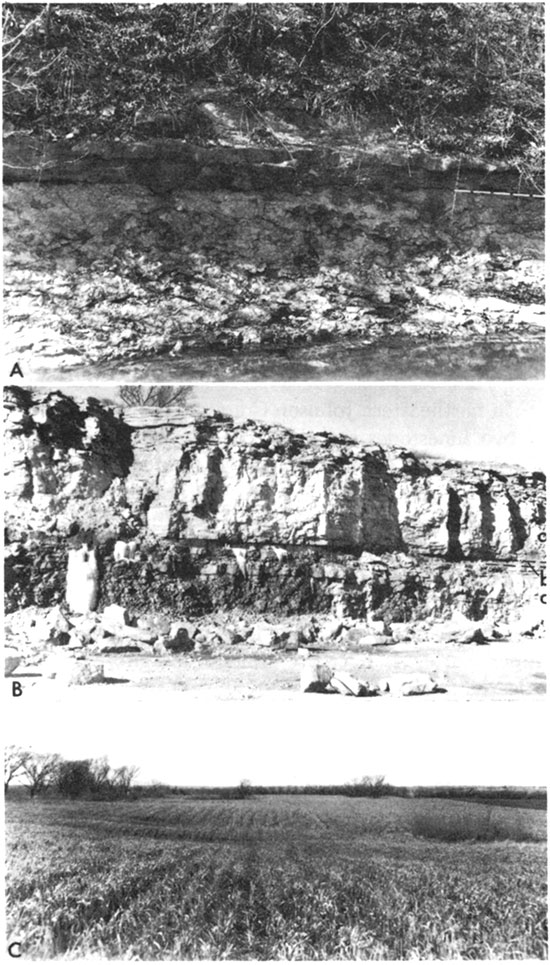 Three black and white photos of rock outcrops of Wyandotte Limestone.