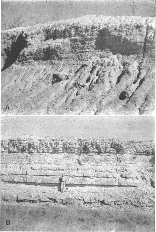 Top photo of outcrop, more resistant bed at top though it is smoothly eroded, gullied slope at bottom; Bottom photo of massive outcrop, man for scale, outcrop 24 feet thick, thinner beds at top and bottom with 2-3 foot beds in middle.
