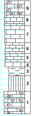 strat column from original form