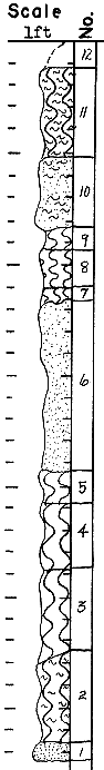 strat column from original form