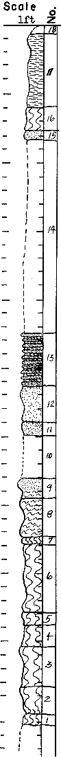 strat column from original form