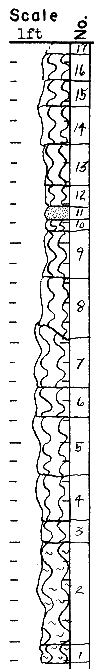 strat column from original form