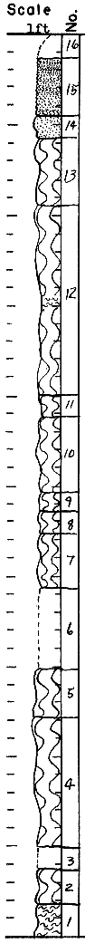 strat column from original form