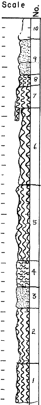 strat column from original form