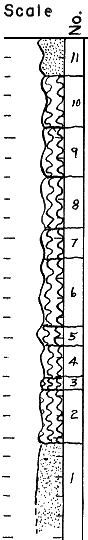 strat column from original form