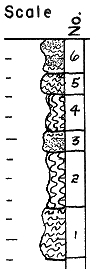 strat column from original form