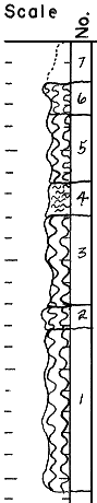 strat column from original form