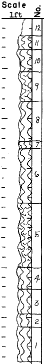 strat column from original form