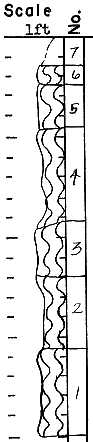 strat column from original form