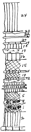 strat column from original form