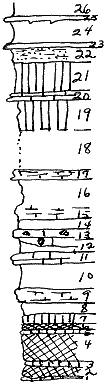 strat column from original form