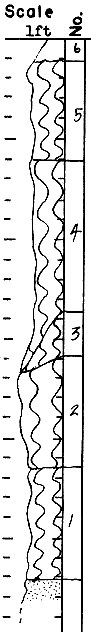 strat column from original form