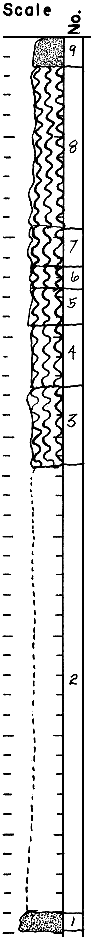 strat column from original form