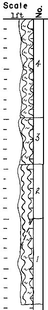 strat column from original form