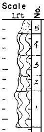 strat column from original form