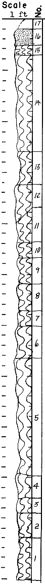 strat column from original form