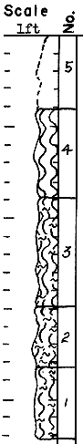 strat column from original form