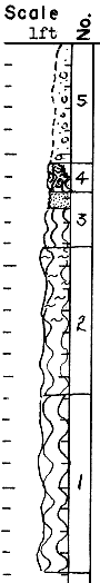 strat column from original form