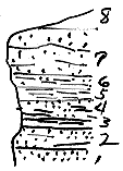 strat column from original form