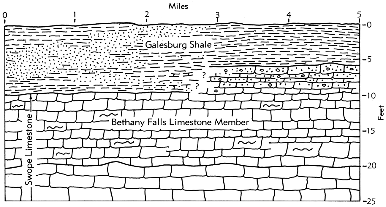 Idealized section of relationship of the Bethany Falls Limestone Member (Swope Limestone) and the Galesburg Shale.