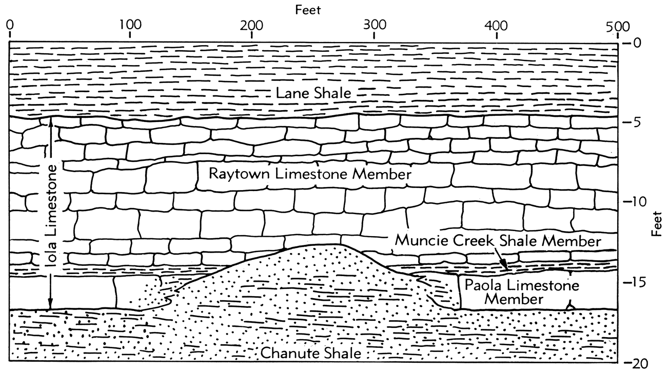 Idealized section showing the relationship of the Iola Limestone and the Chanute Shale.