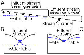 stream contributes to ground water if above water table; gains water if below