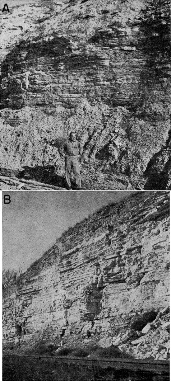 Two black and white photos; top is of man standing in front of Greenhorn Ls outcrop, man beds, pile of eroded pirces at bottom; bottom shows very steep outcrop of white limestone.