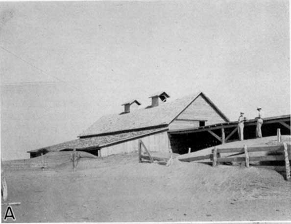 Black and white photo of single-story barn, low shed on side almost covered with dune.