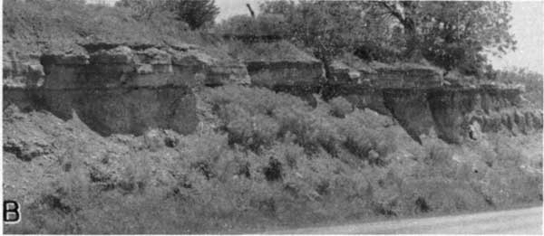 Black and white photo of roadcut; small trees in background; 2-3 foot resistant bed above more erodable formation.