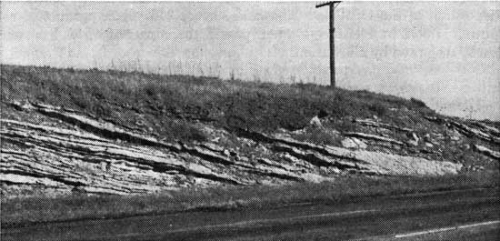 Roadcut with steeply dipping beds.