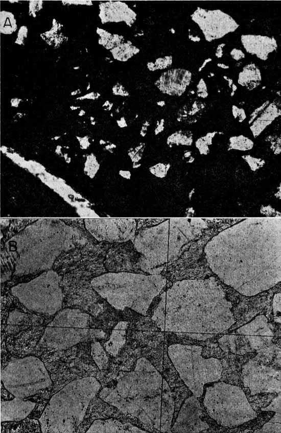 Two black and white photomicrographs.