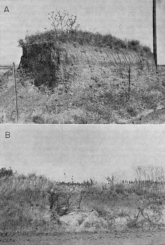 Two black and white photos of terrace and loess deposits.