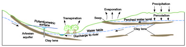 Water moves from aquifer to streams (and back), recharged from precipitation.