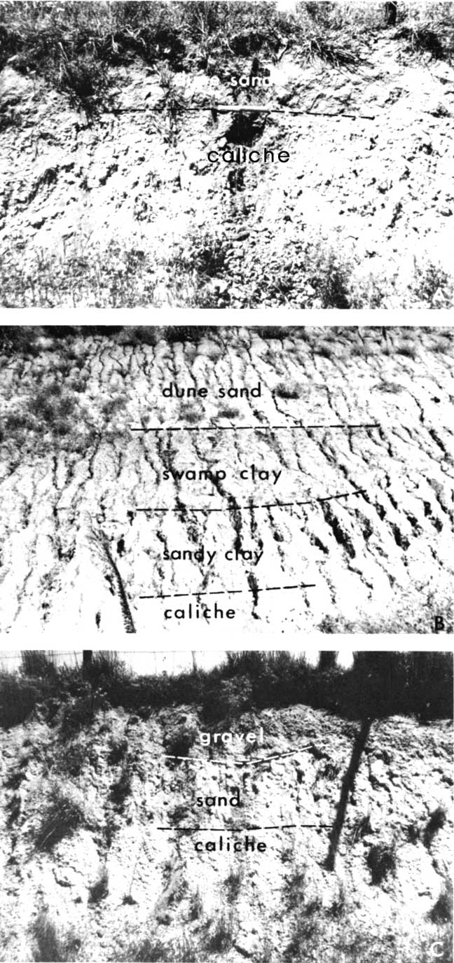 Three black and white photos of sand and caliche outcrops.