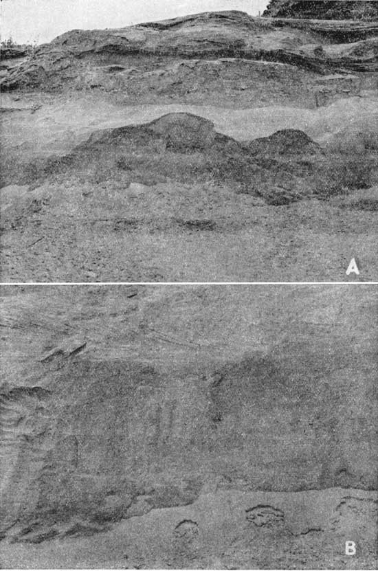 Two black and white photos of fresh outcrop showing cross bedding.