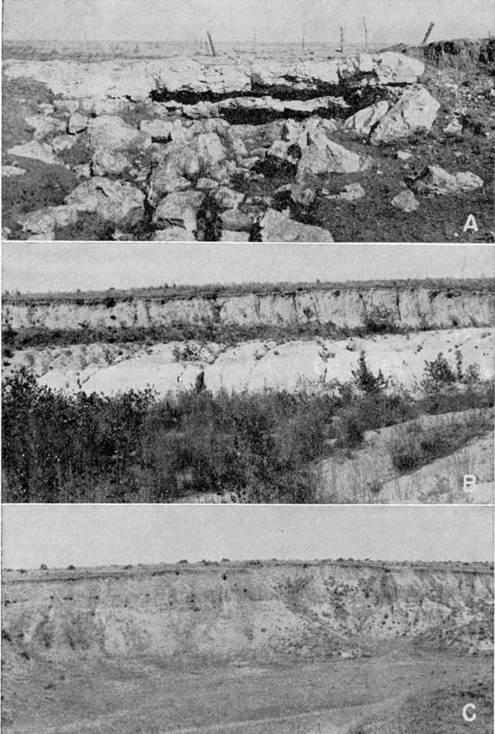 Three black and white photos of three very different outcrops; top photo is of cherty, resistant boulders; second is of light-gray to white ash bed; botom is of eroded silt member near arroyo.