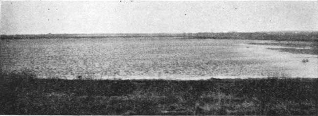Black and white photo of Salt Marsh.