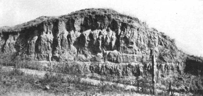 Black and white photo of loess; very steep sides to roadcut, yet also highly eroded.