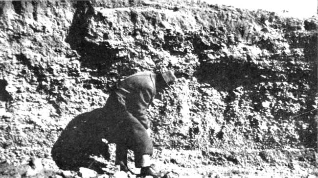 Black and white photo of researcher in front of outcrop with gravel.